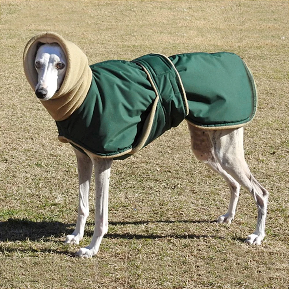 Greyhound Cozy Fleece Jumper With Turtleneck Scarf [For Medium/Large Dog]