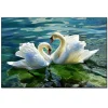 Swan | Full Round Diamond Painting Kits