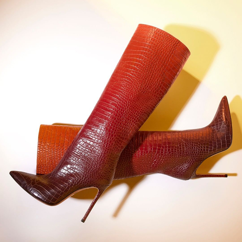 Ombre Color Croco Embossed Pointed Toe Below-the-Knee Heeled Boots