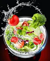 Multifunctional Press-Type Vegetable Dehydrator