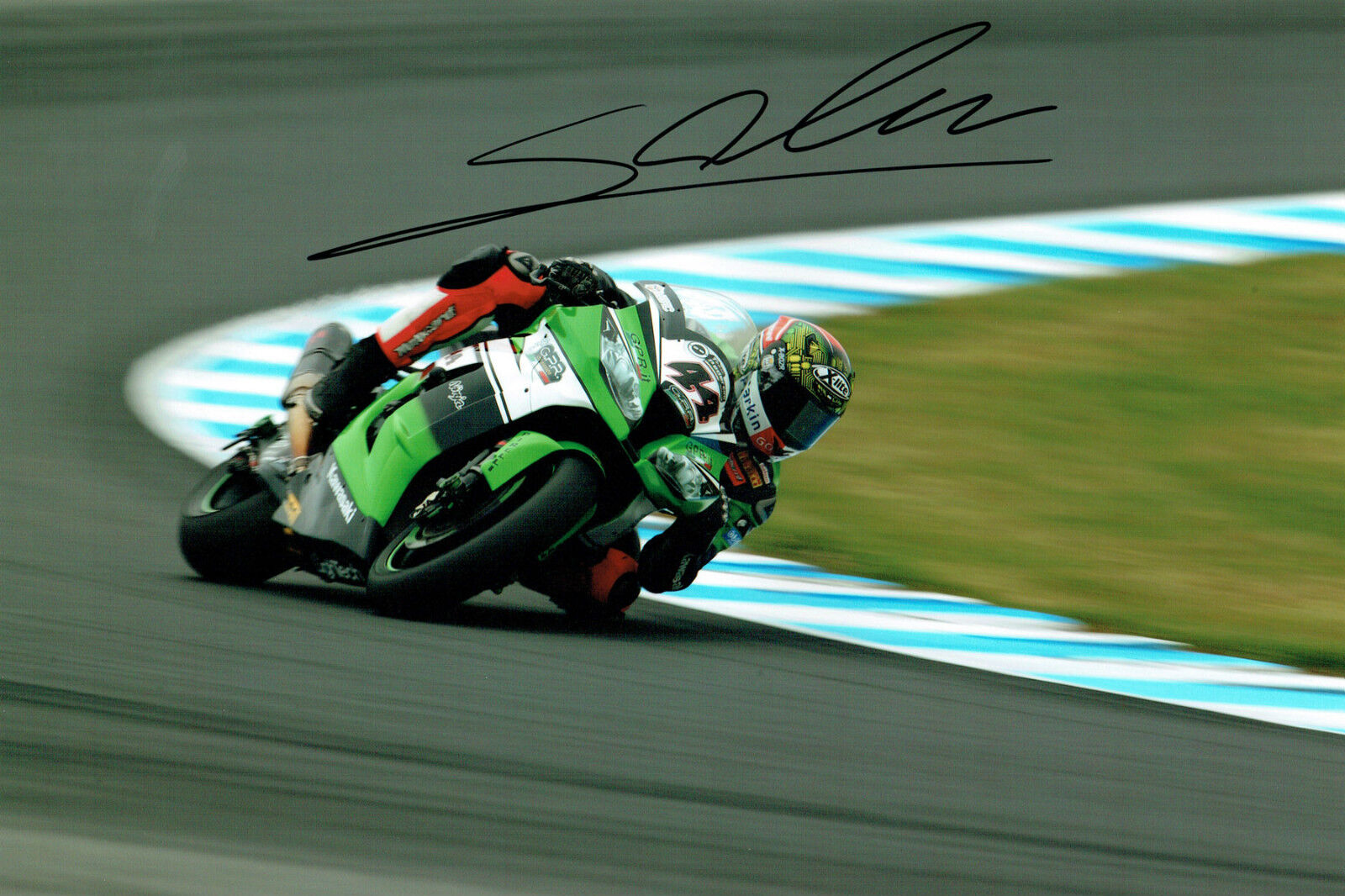 David SALOM 2015 Donnington SIGNED KAWASAKI ZX Autograph 12x8 Photo Poster painting AFTAL COA