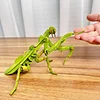 3D Insect Paper Model STEM Preschool Education Model