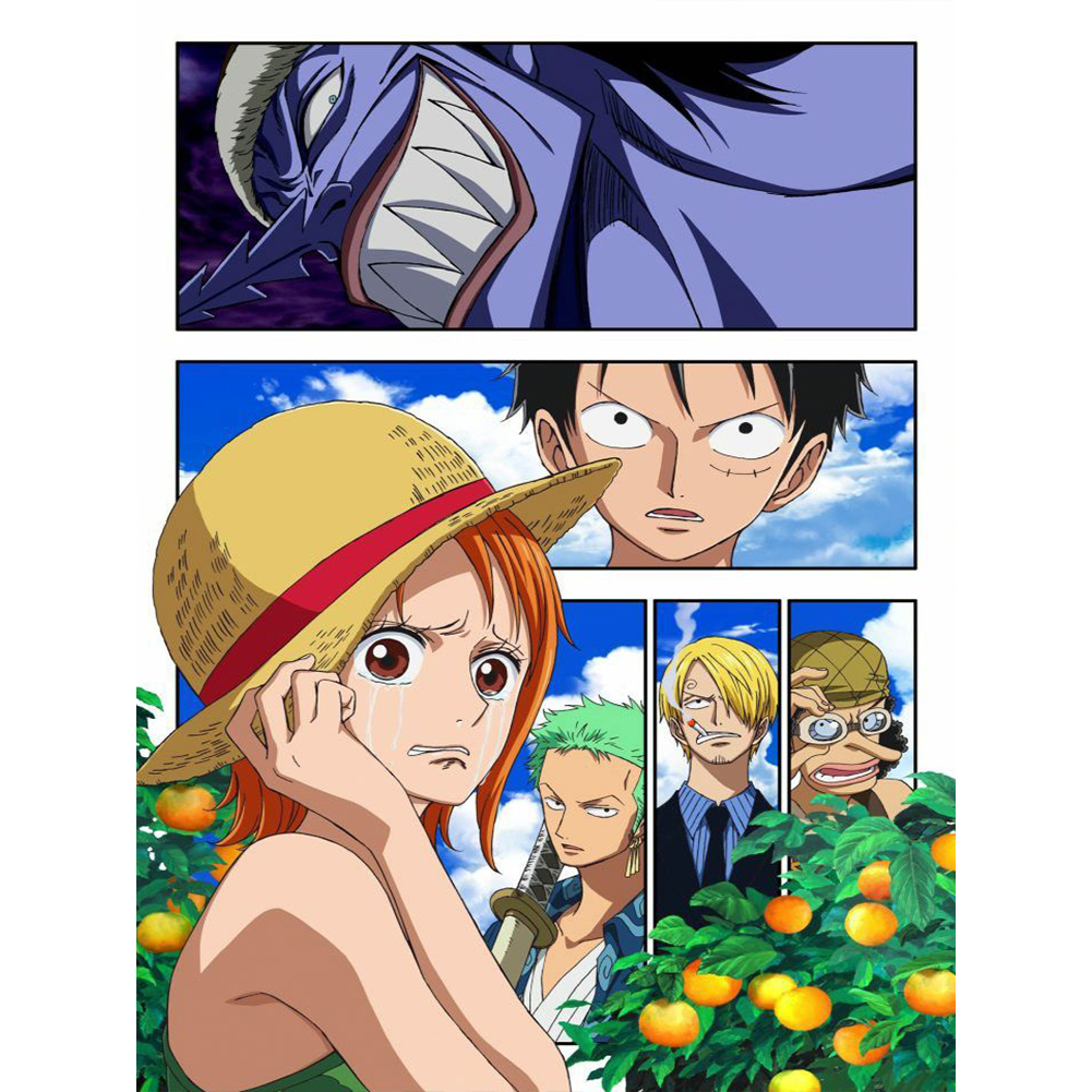 Straw Hat Pirates And Dragon 30*40cm(canvas) full round drill diamond painting