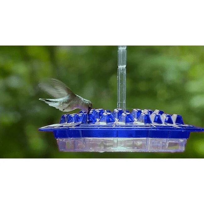  Sweety Hummingbird Feeder