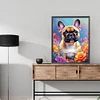 Bouledogue-Carré Diamant Peinture-45*55CM