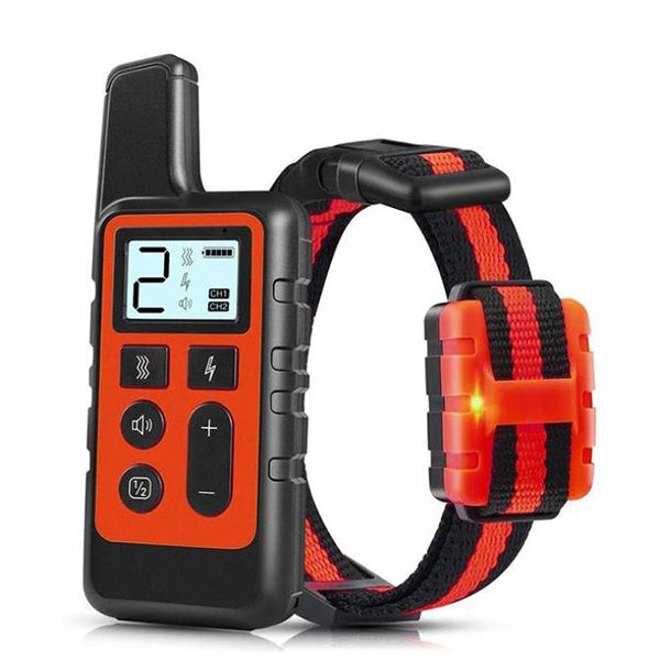 Best Dog Shock Training Collar