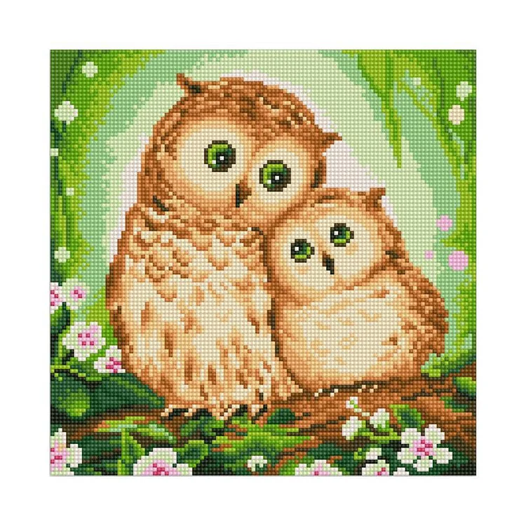 Two Owls - Full Round Drill Diamond Painting - 30x30cm(Canvas)