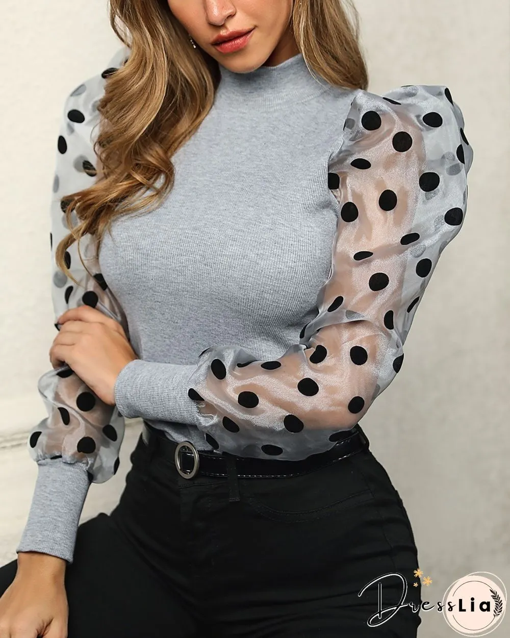 Mesh Dot Puffed Sleeve Top P13430