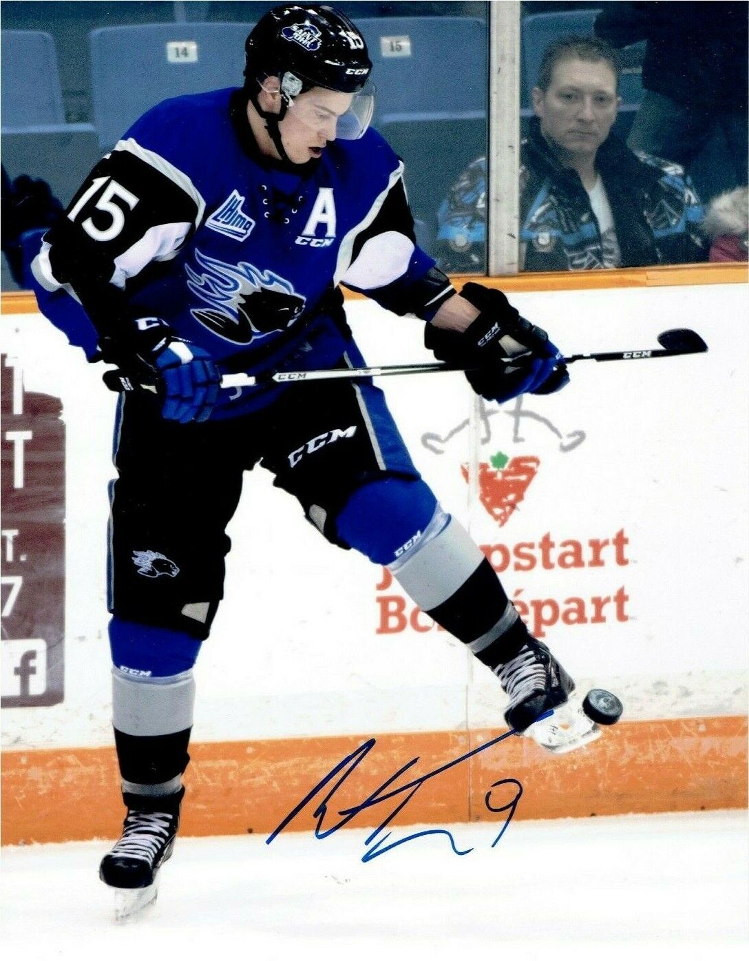 MATTHEW HIGHMORE autographed SAINT JOHN SEADOGS 8X10 Photo Poster painting CHICAGO BLACKHAWKS