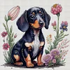 Dachshund - 11CT Stamped Cross Stitch - 40*40cm - Dog