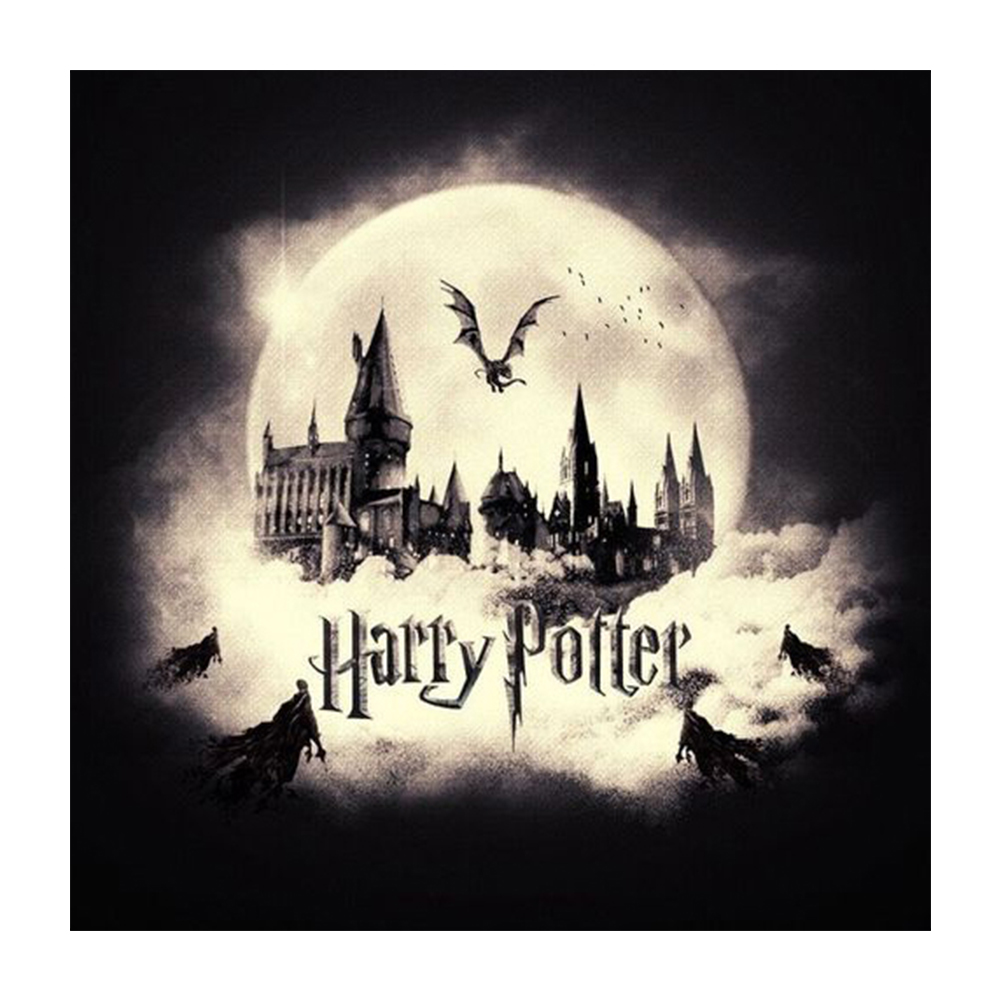 Harry Potter (40*40CM) 11CT Stamped Cross Stitch gbfke