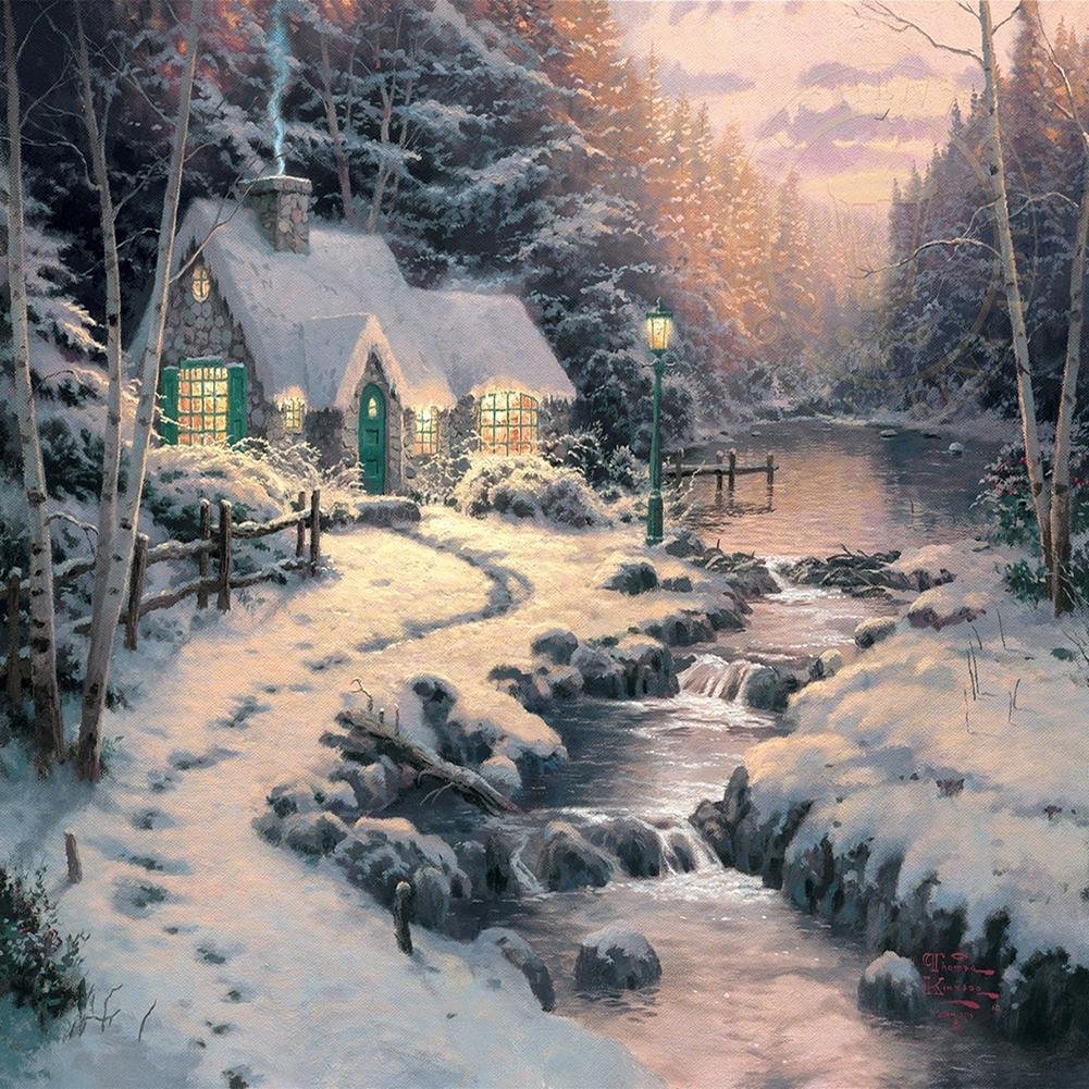 Full Round Diamond Painting - Snow Scene(30*30cm)