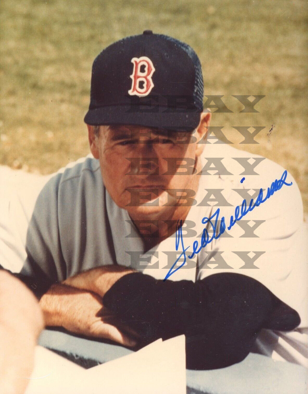 Ted Williams Boston Red Sox HOF Signed 8x10 autographed Photo Poster painting Reprint