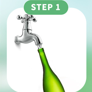 plant watering system