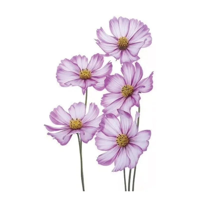 Small Waterproof Temporary Tattoo Sticker Colorful Feather Flower Leaves Planet Moon Women Body Art Wrist Neck Fake Tattoos Men