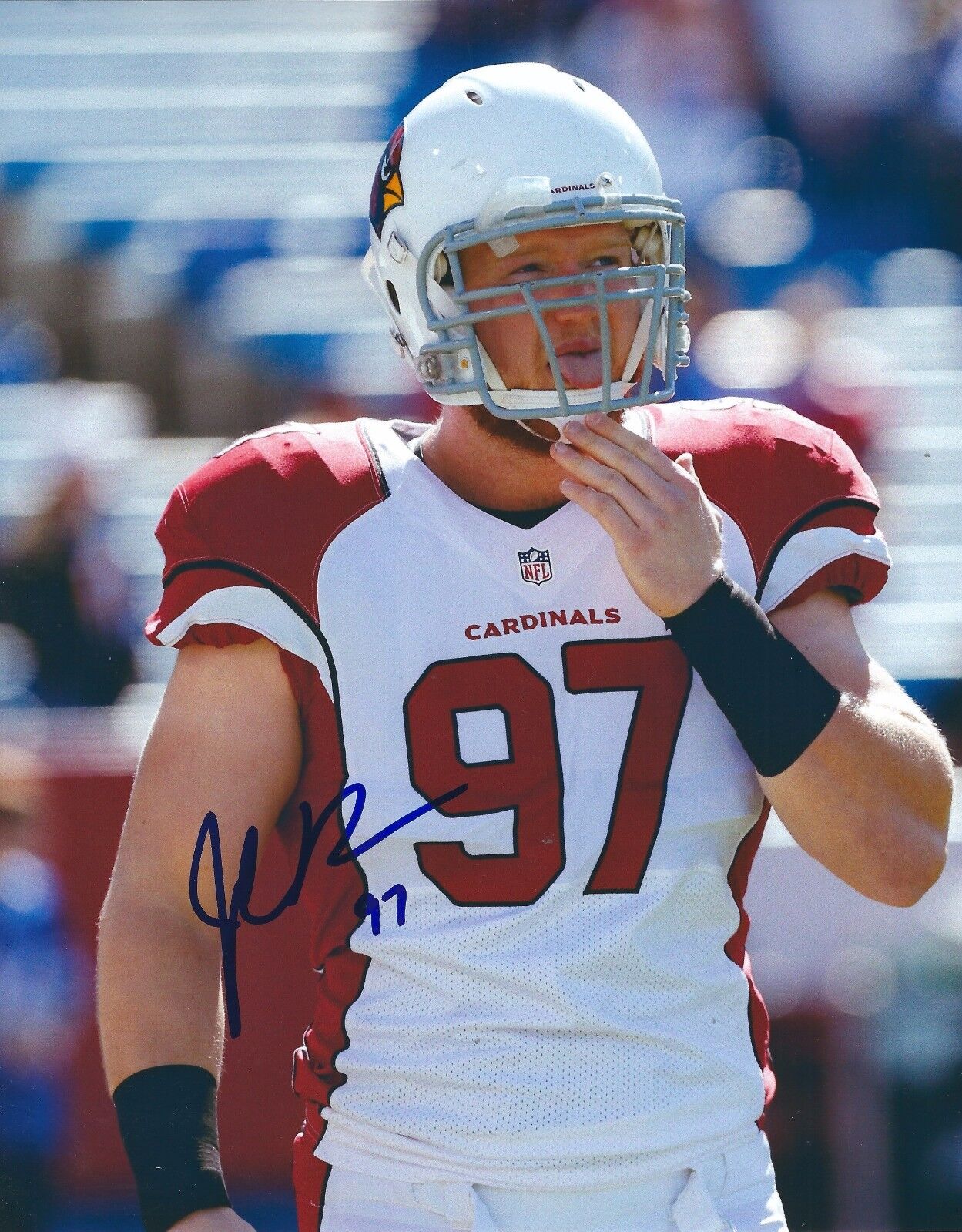 Autographed JOSH MAURO Arizona Cardinals 8X10 Photo Poster painting - w/COA