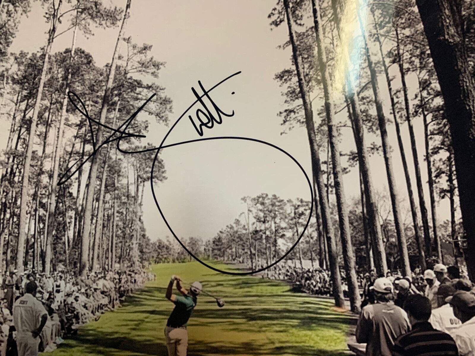 Adam Scott Signed 8x10 Photo Poster painting Pic Auto Golfer