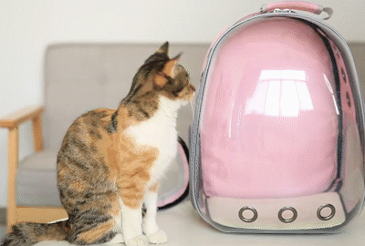 Clear bubble cat backpack-Cat Bag Breathable Portable Pet Carrier Bag  Outdoor Travel Backpack For Cat Transparent Backpack