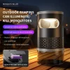 Environmentally friendly electric LED mosquito killer lamp