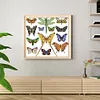 【Limited Stock Sale】Colorful Butterfly Logo-14CT Stamped Cross Stitch 34*30cm/13.39*11.81in tapestrymarket