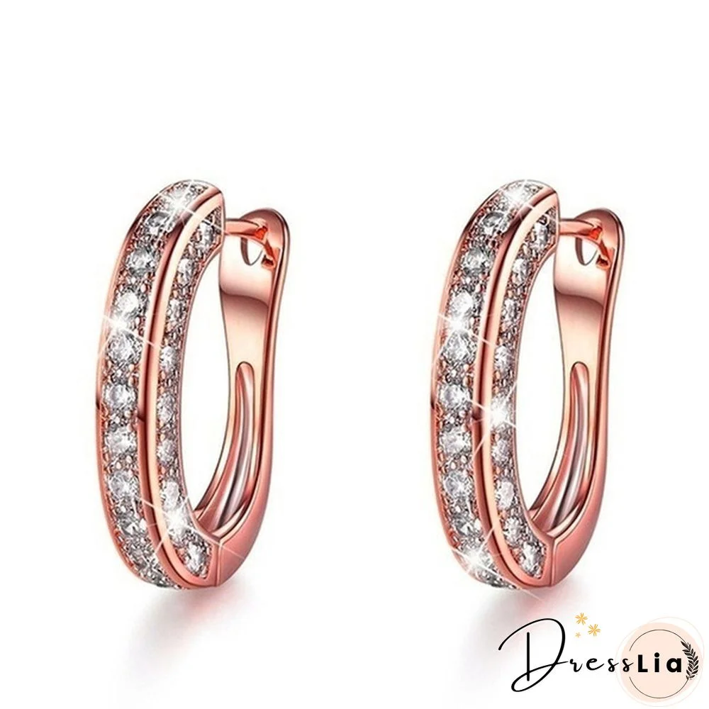 Exquisite Fashion 925 Silver Diamonds Stainless Steel Earrings European and American Women's Earrings Health Care Weight Loss Earrings 100% Surprise Yoga Energy Slimming Earring