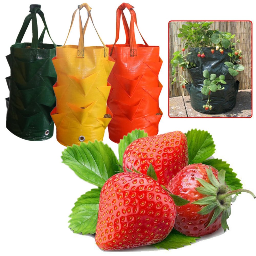 Mouth Strawberry Container Bags