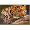Leopard | Full Round Diamond Painting Kits