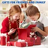  Penguin Crochet Kit with Step-By-Step Video Tutorials, Crochet Hooks for Gift Home decor