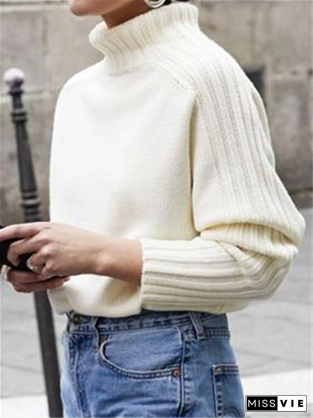 Autumn Winter Casual Basic Daily Turtleneck Knitted Sweater