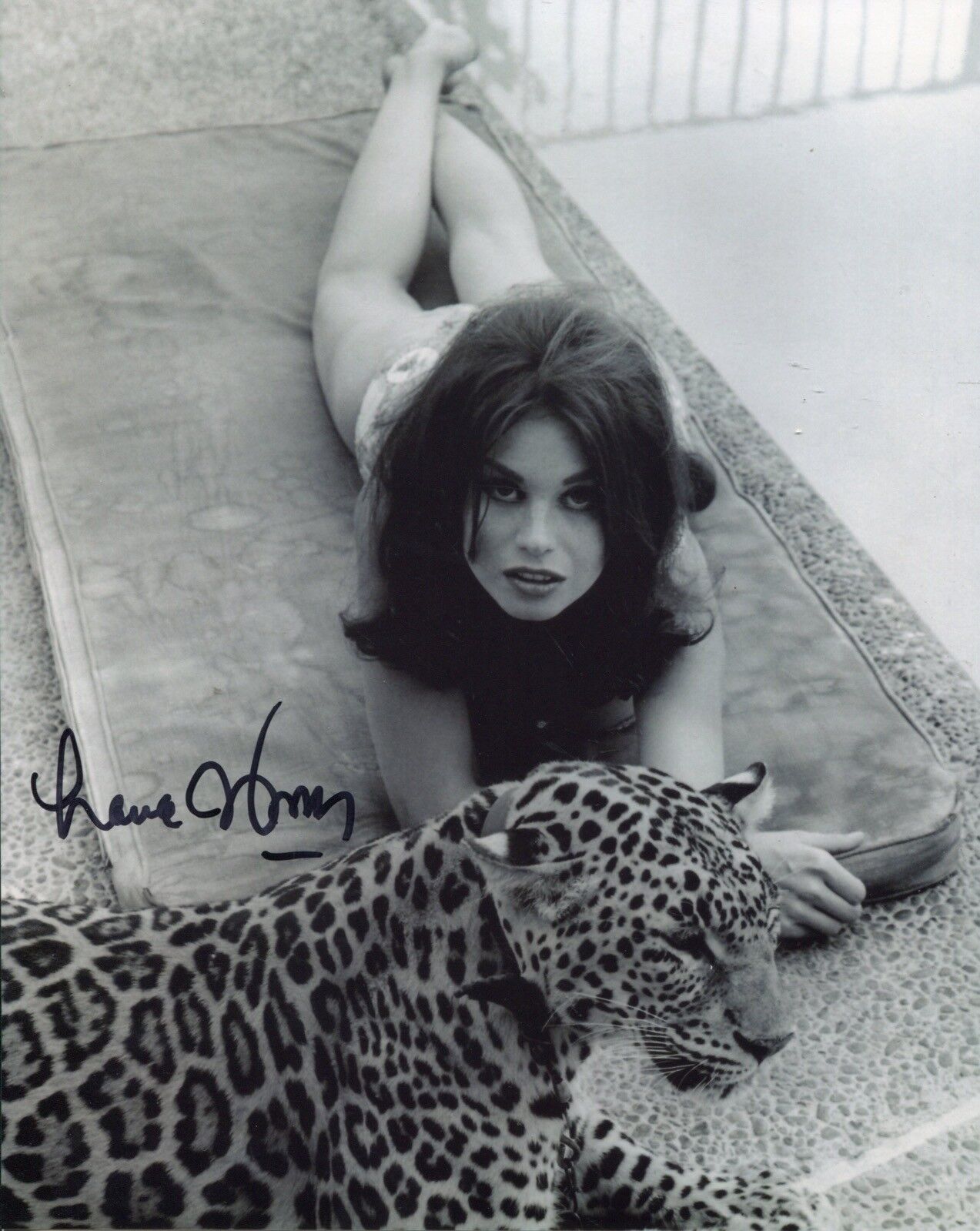 007 James Bond movie girl LANA WOOD poolside signed 8x10 Photo Poster painting UACC DEALER