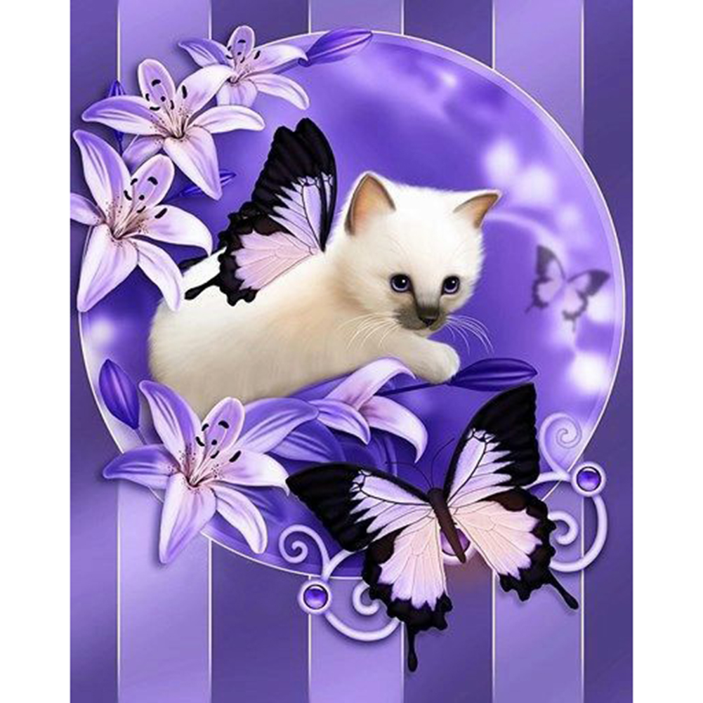 Котенок с бабочкой. Красивые котята в цветах. Милые котики с бабочкой. Открытки с котятами и цветами. Красивые открытки с кошками