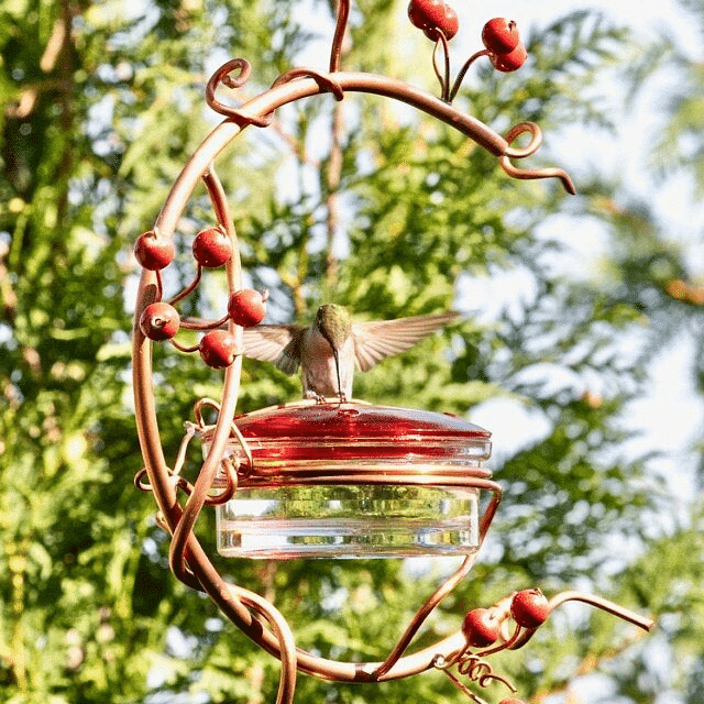 Red Berries Hummingbird Feeder Copper Hummingbird Swing