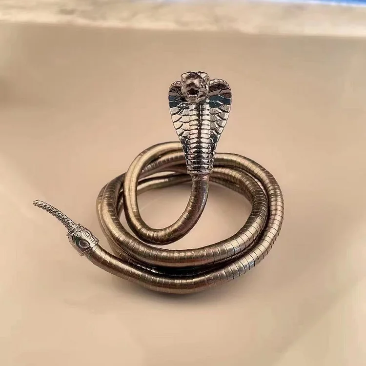 Randomly Bend Snake Necklace