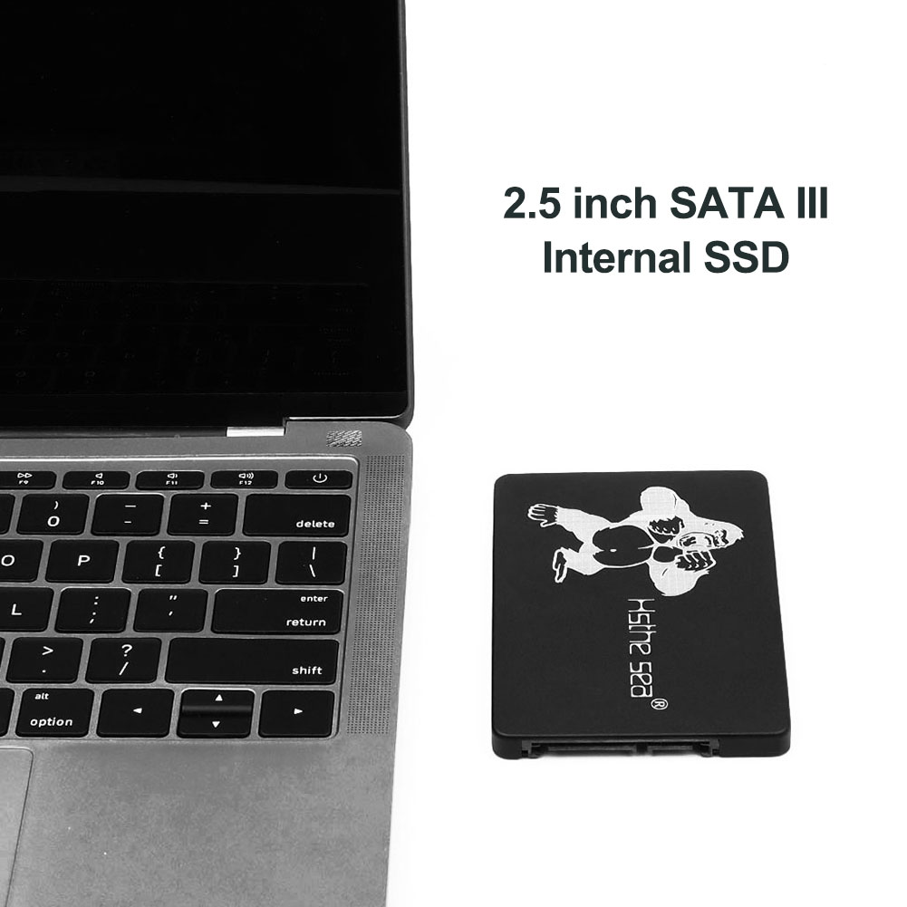 

2.5 SATA III Internal SSD Solid State Drive Monkey Pattern for Computer PC, 60gb, 501 Original