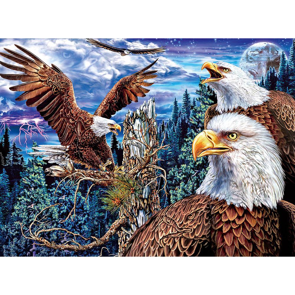 

30*40CM Round Drill Diamond Painting-Eagle, 501 Original