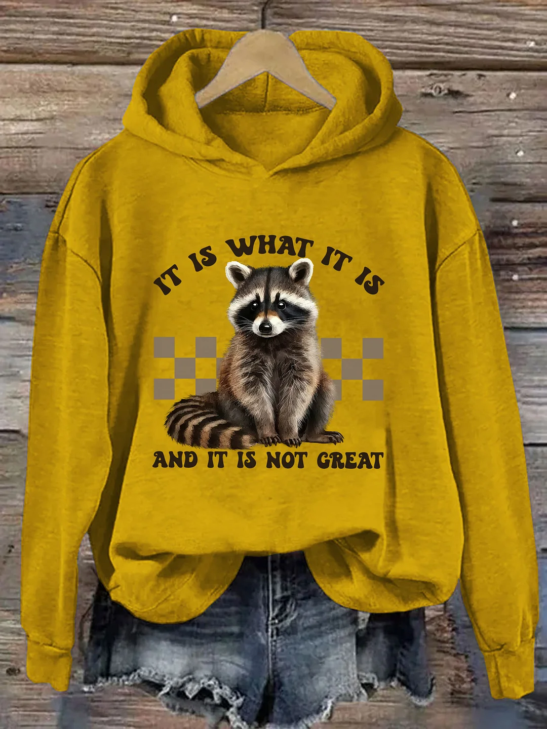 It Is What It Is And It Is Not Great Hoodie