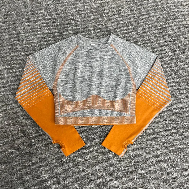 Seamless Outdoor Two Piece Set Women Long Sleeve Crop Top Sport Leggings Tracksuit Fitness Gym Suits For Women