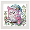 5D DIY Partial Special Shaped Drill Diamond Painting With Frame Kit Owl Decor 19.2x19.2cm