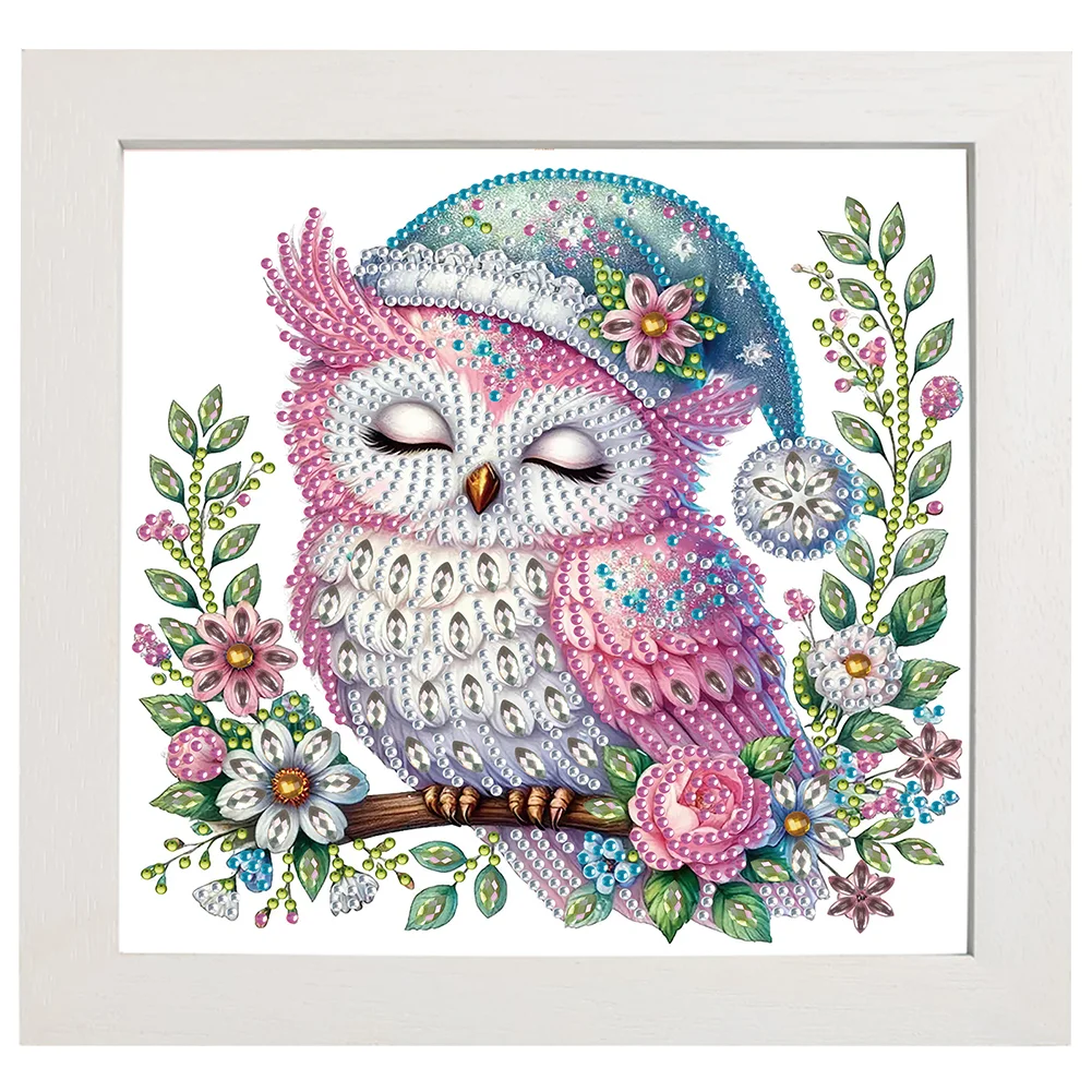 5D DIY Partial Special Shaped Drill Diamond Painting Kit Owl Decor 19.2x19.2cm【With Frame】