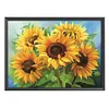 (Counted/Stamped)(Big Size) 11CT Sunflower- Cross Stitch  50*65cm/19.69*25.59in