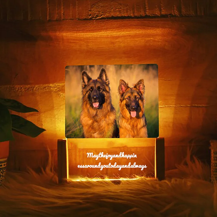 Custom Photo/Text Acrylic Wooden Base LED Night Lights