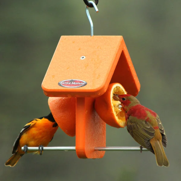  Hummingbird Feeder Recycled Orange Oriole Fruit Feeder