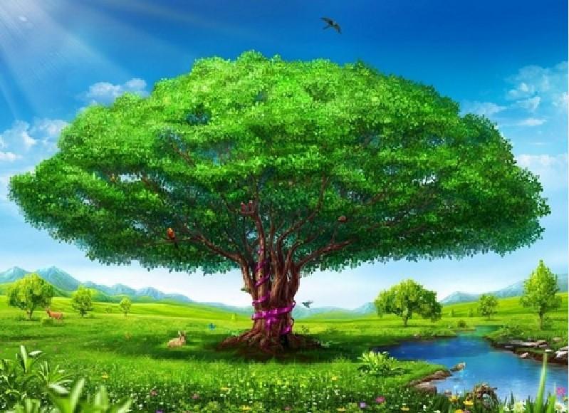 

Big Green Tree – Paint By Numbers - 40*50CM, 501 Original
