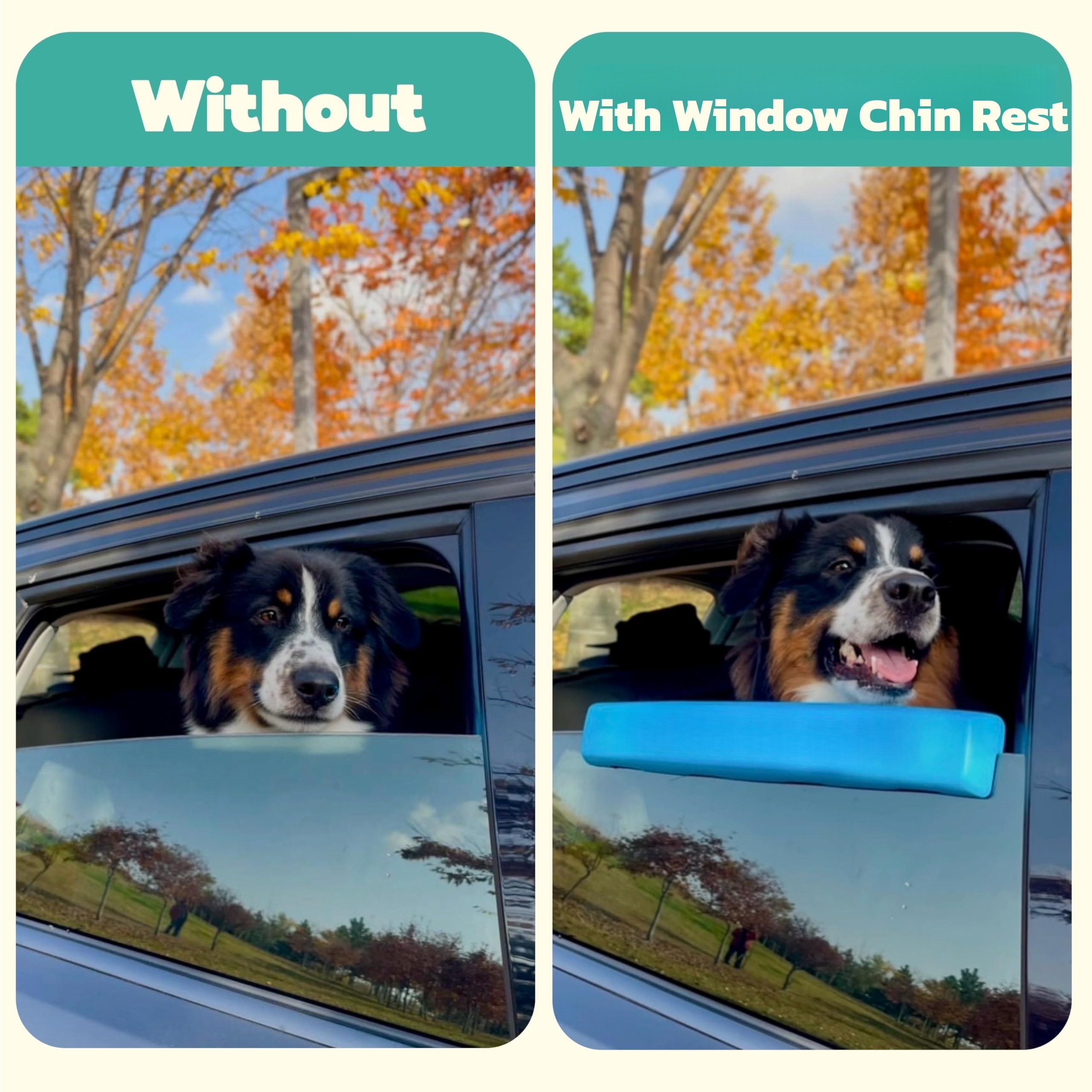 Dog window cushion for safer car rides