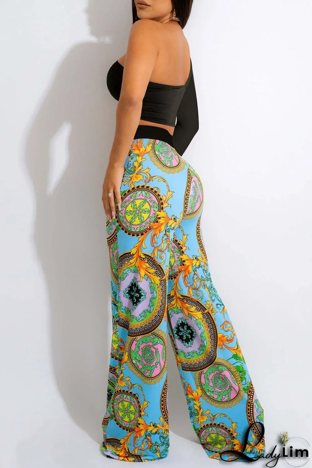 Sky Blue Fashion Casual Print Patchwork Backless Oblique Collar Long Sleeve Two Pieces