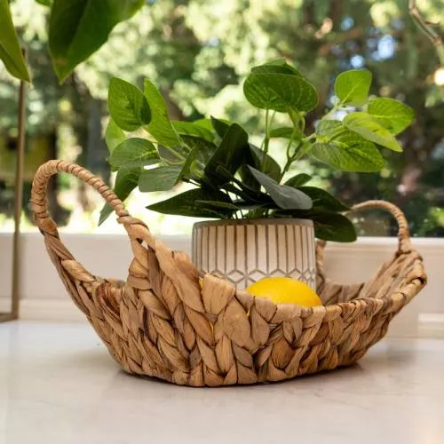 Water Hyacinth Curved Basket with Handles