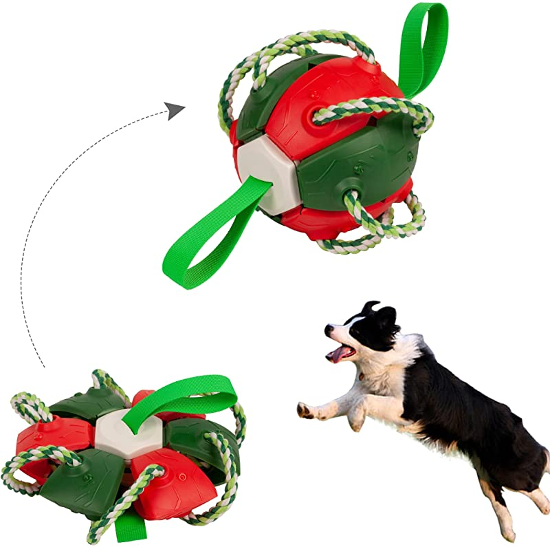 Interactive Flying Disk Ball Dog Toy