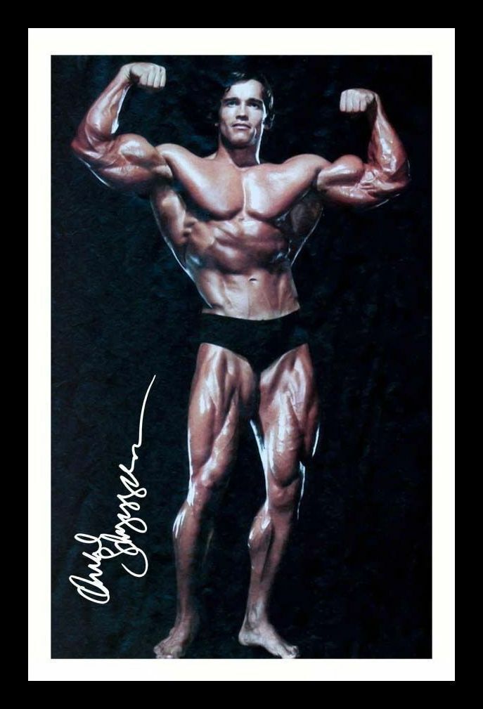 Arnold Schwarzenegger Autograph Signed & Framed Photo Poster painting 1