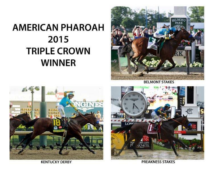 AMERICAN PHAROAH 2015 Triple Crown Winner Collage Derby Horse 8x10 Photo Poster painting Poster