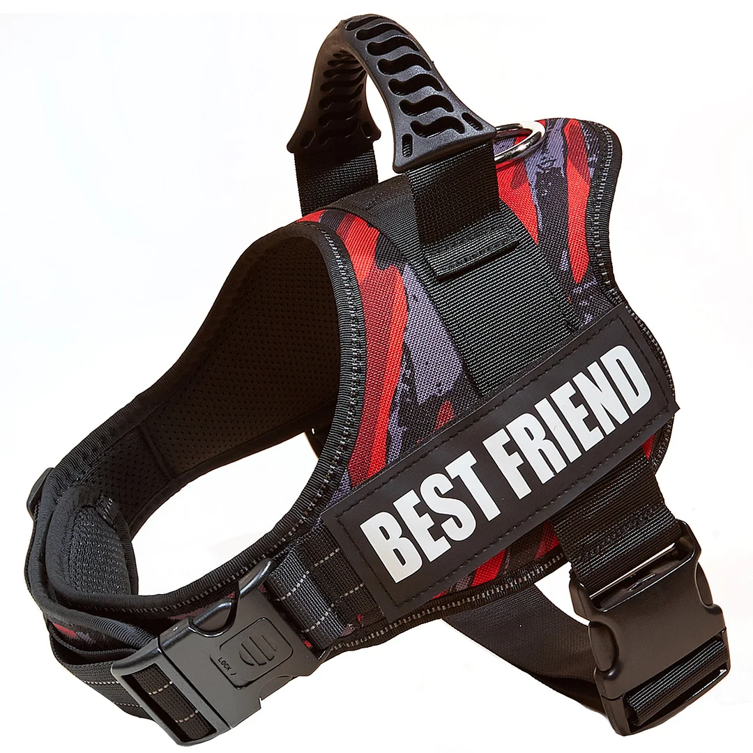 Personalized No Pull Dog Harness